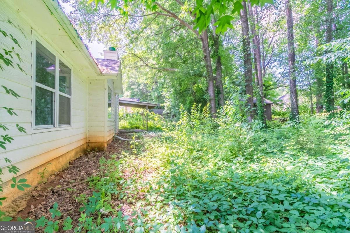 20 Rosebud Lane Mcdonough - 24