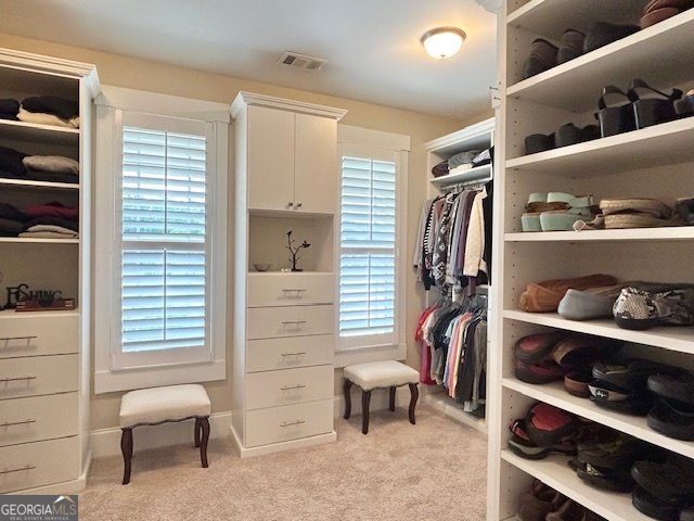 203 NORTH COVE DRIVE Newnan - 43