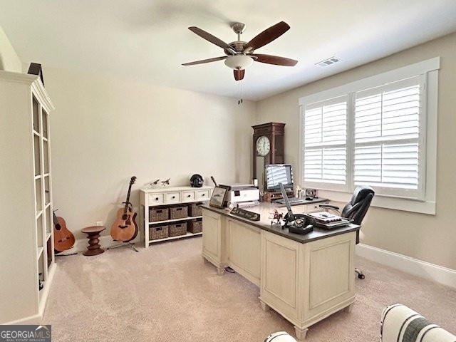 203 NORTH COVE DRIVE Newnan - 51