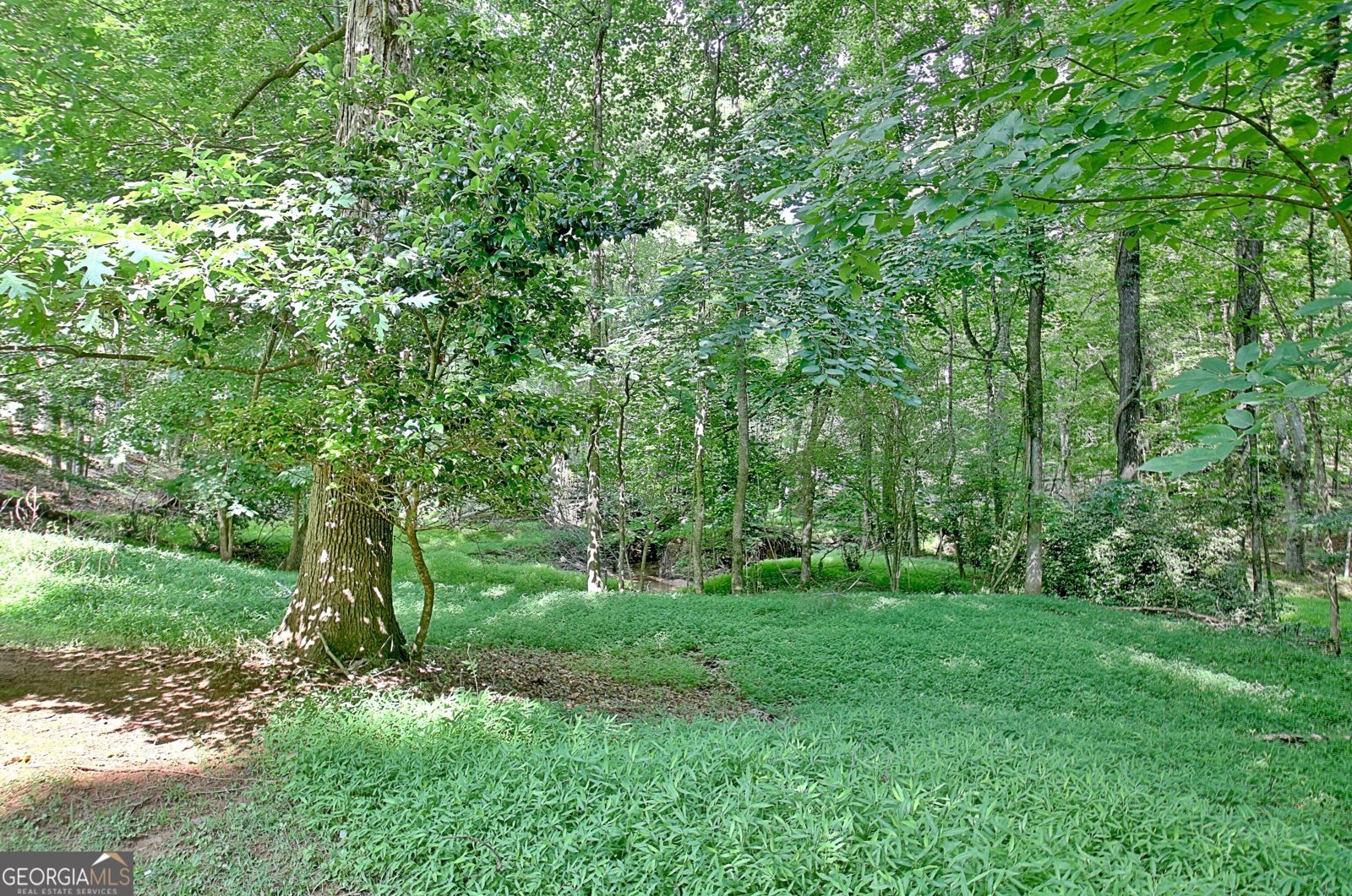 110 Heatherwood Drive Fayetteville - 41