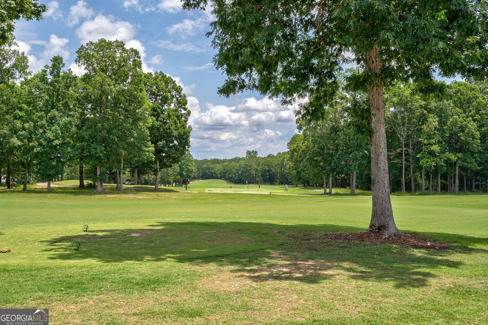 2010 Georgia Club Drive Statham - 59