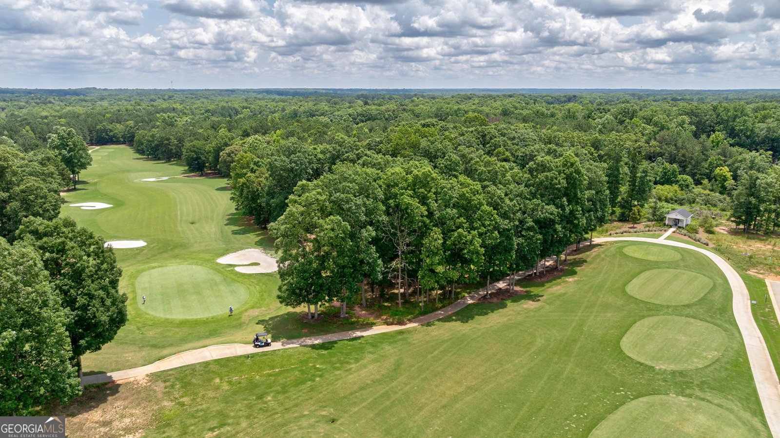 2010 Georgia Club Drive Statham - 61