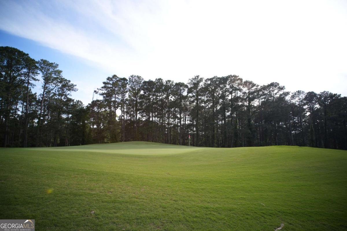 161 Flamingo Court Monticello - 46