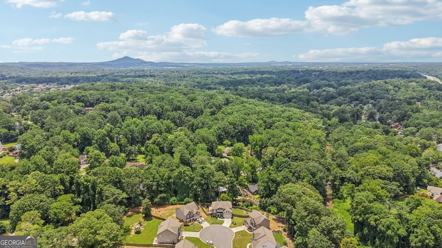 459 Current Court Kennesaw - 51