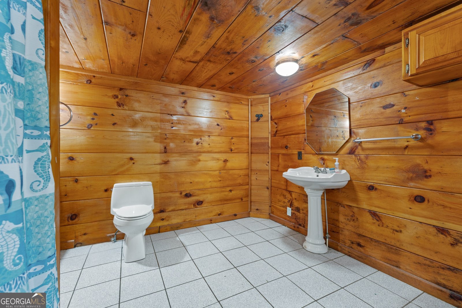368 White Pine Crossover Jasper - 22
