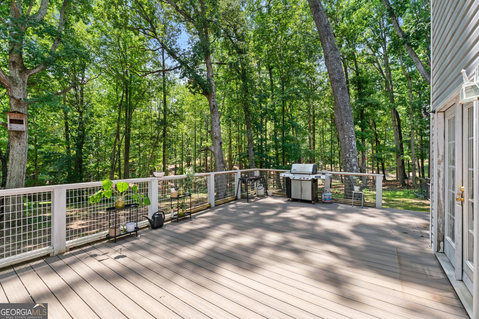 368 White Pine Crossover Jasper - 6