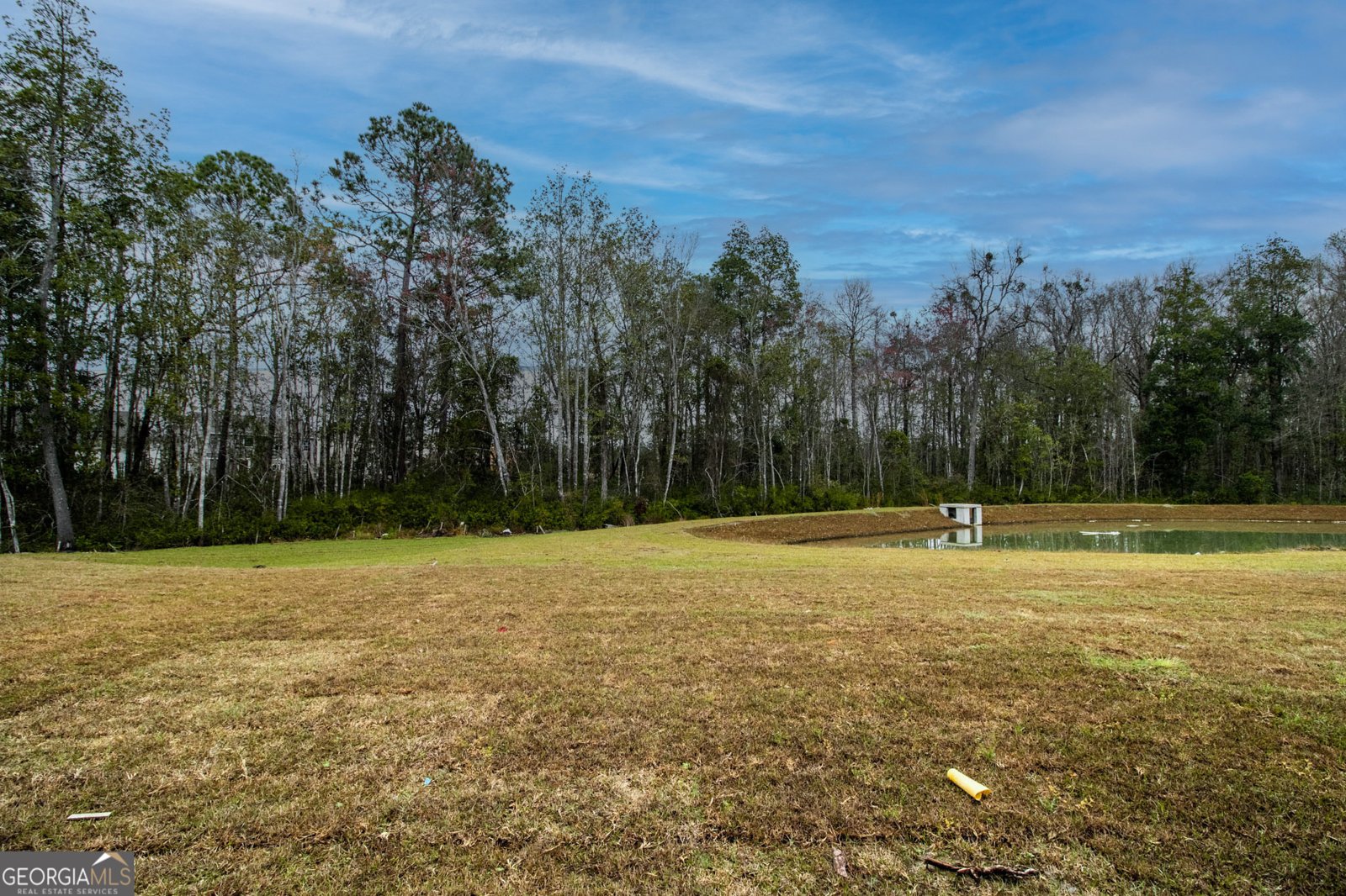 495 Coconut Drive Bloomingdale - 24