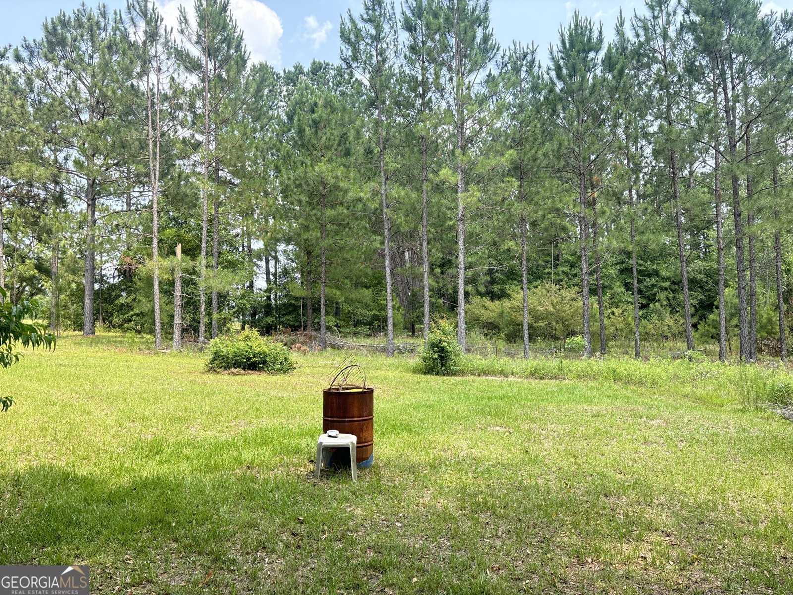 895 GA Hwy 57 Kite - 61