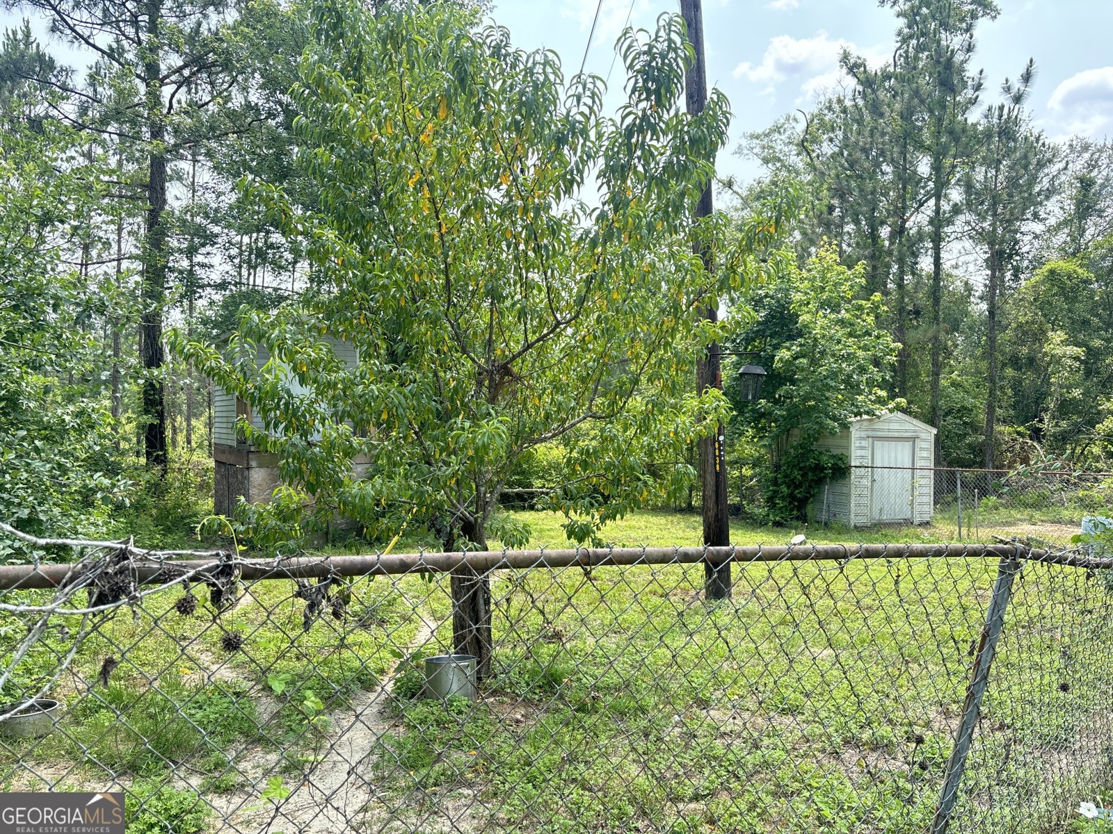 895 GA Hwy 57 Kite - 65