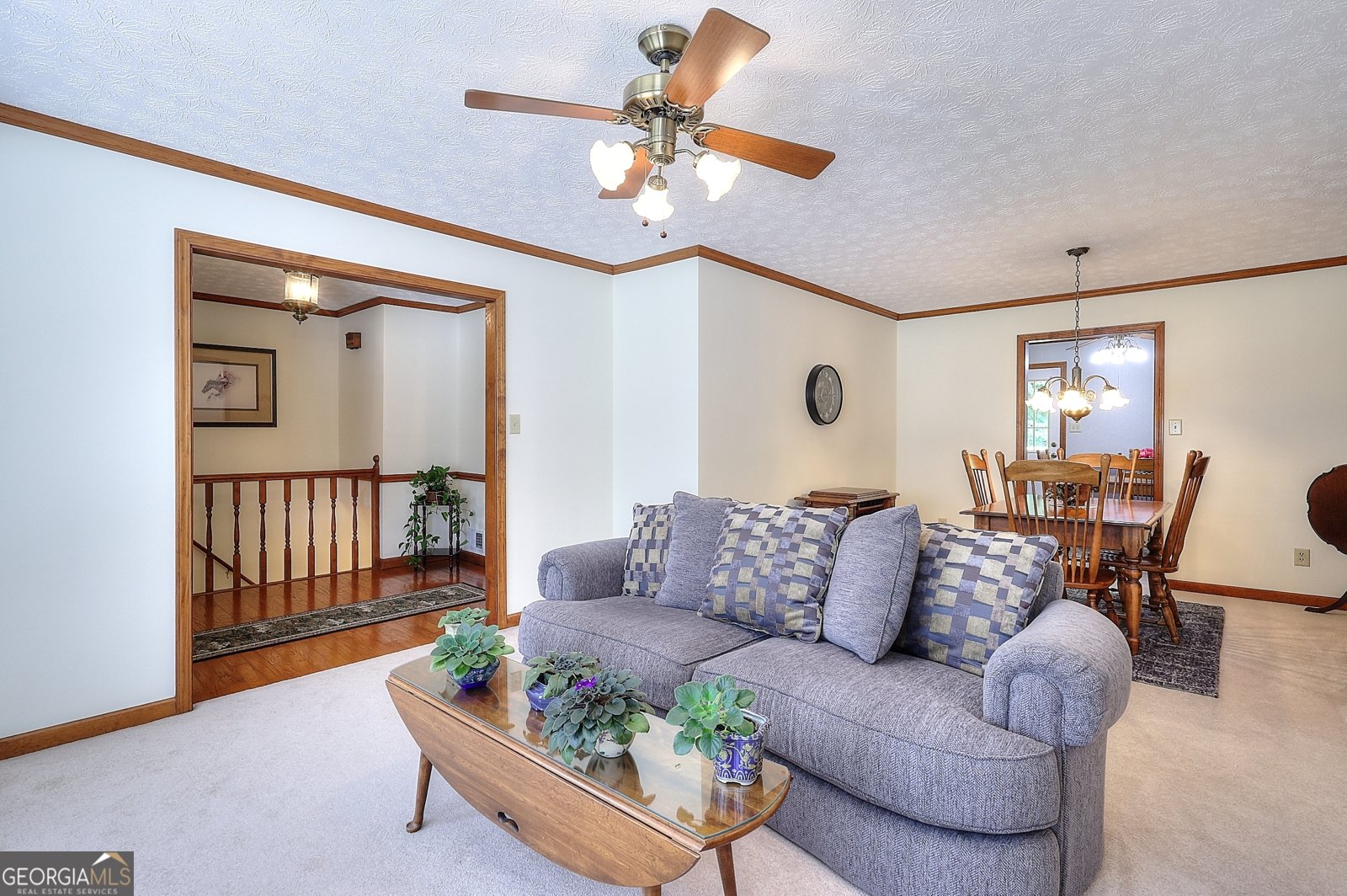 1123 Willow Trace Grayson - 6