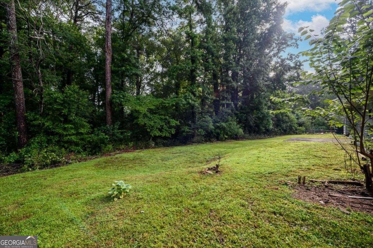 3645 Shrewsbury Court Snellville - 26