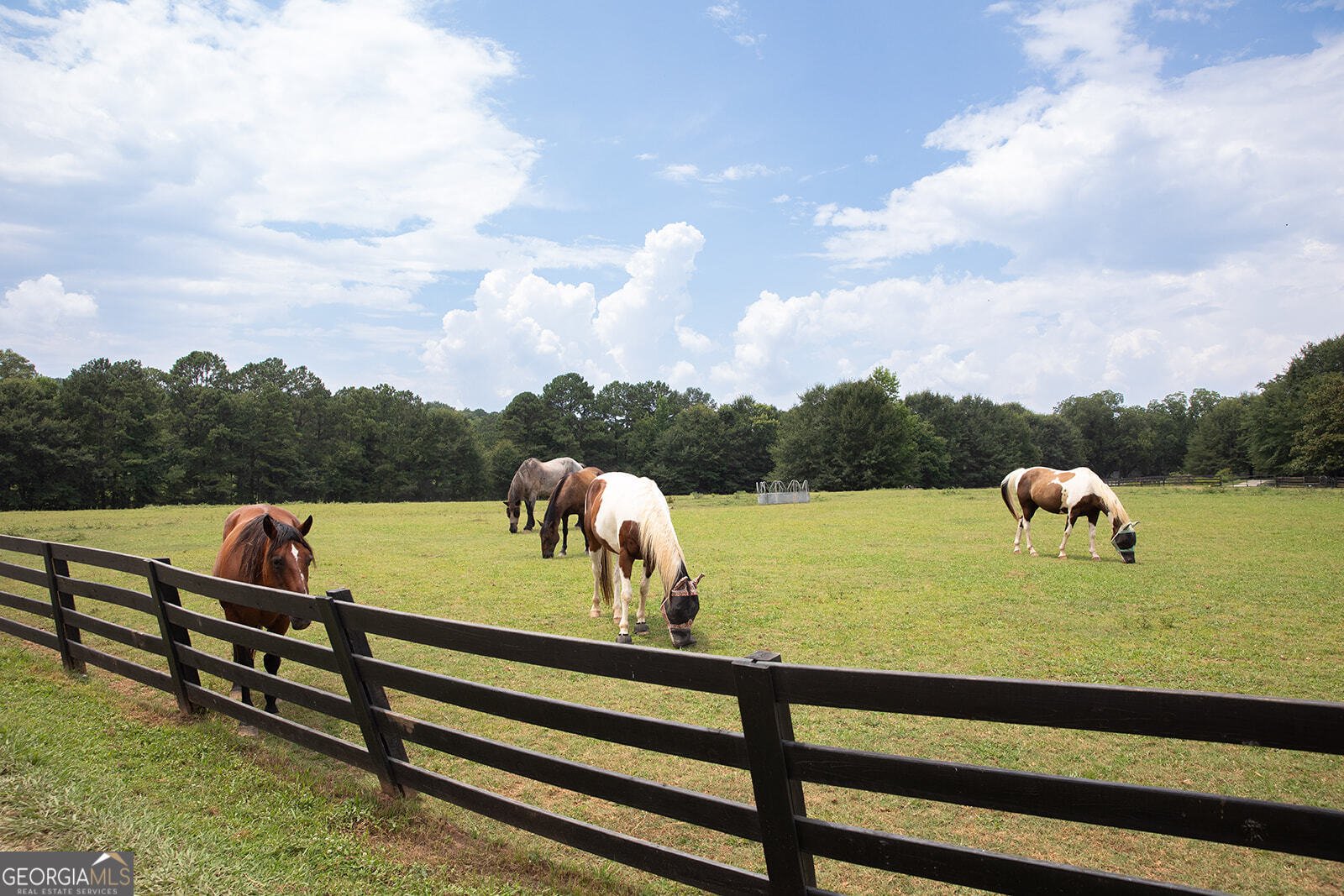 10540 SERENBE Lane Chattahoochee Hills - 22