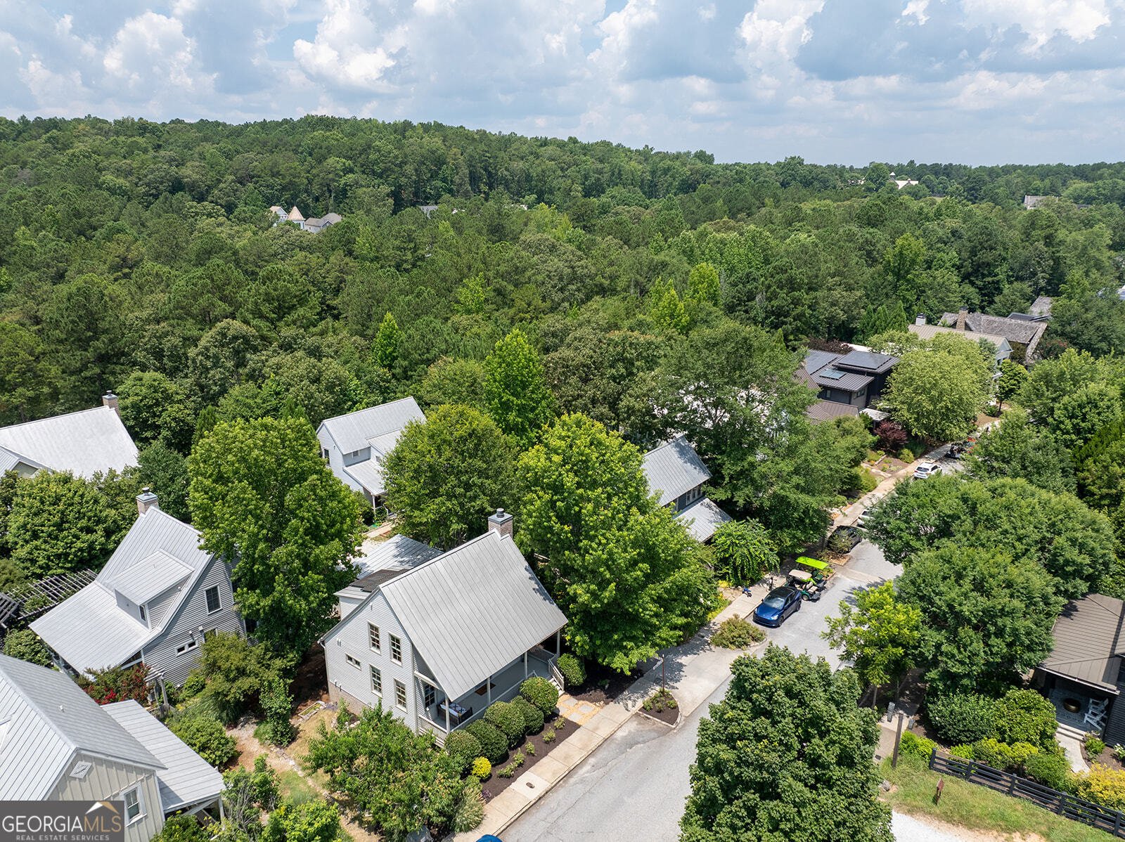 10540 SERENBE Lane Chattahoochee Hills - 49