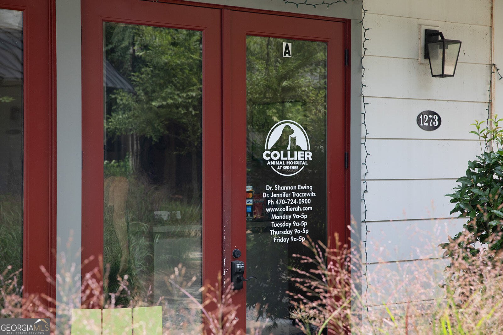 10540 SERENBE Lane Chattahoochee Hills - 61
