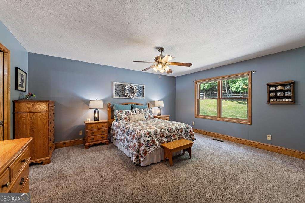 341 Holly Lane Road Blairsville - 17