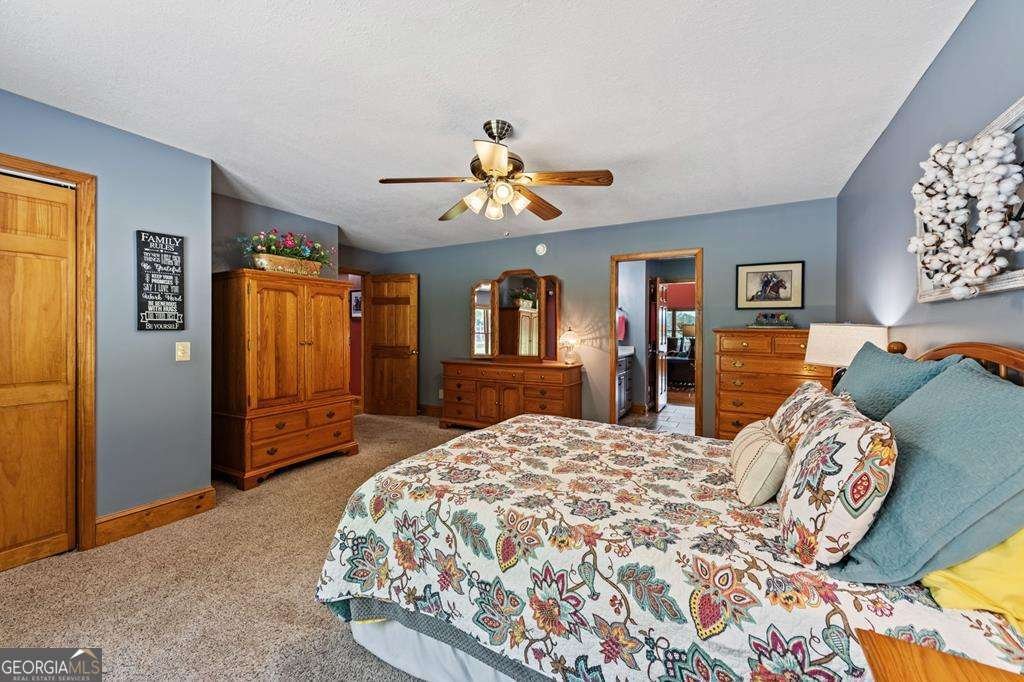 341 Holly Lane Road Blairsville - 18