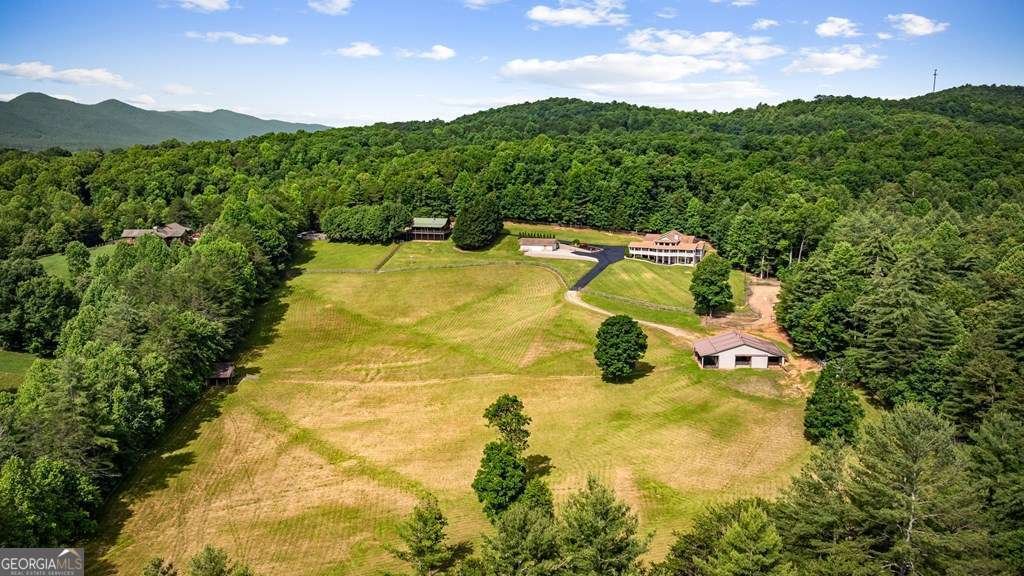 341 Holly Lane Road Blairsville - 2