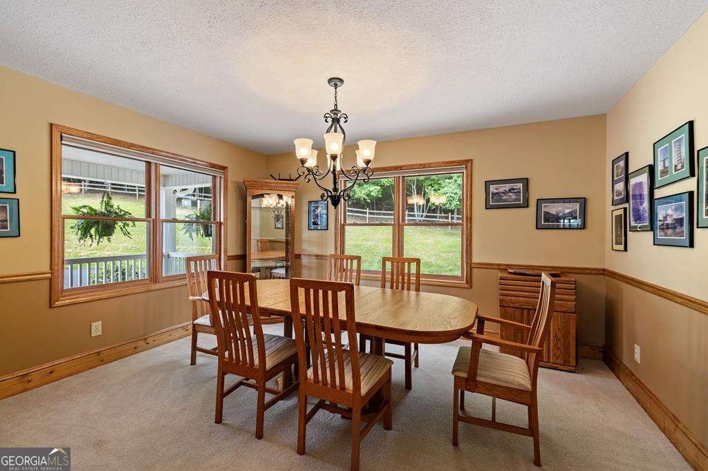 341 Holly Lane Road Blairsville - 21