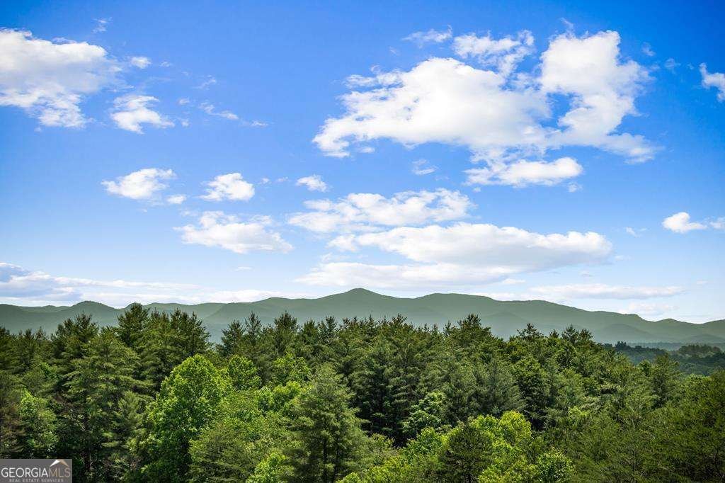 341 Holly Lane Road Blairsville - 58
