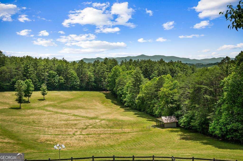 341 Holly Lane Road Blairsville - 59