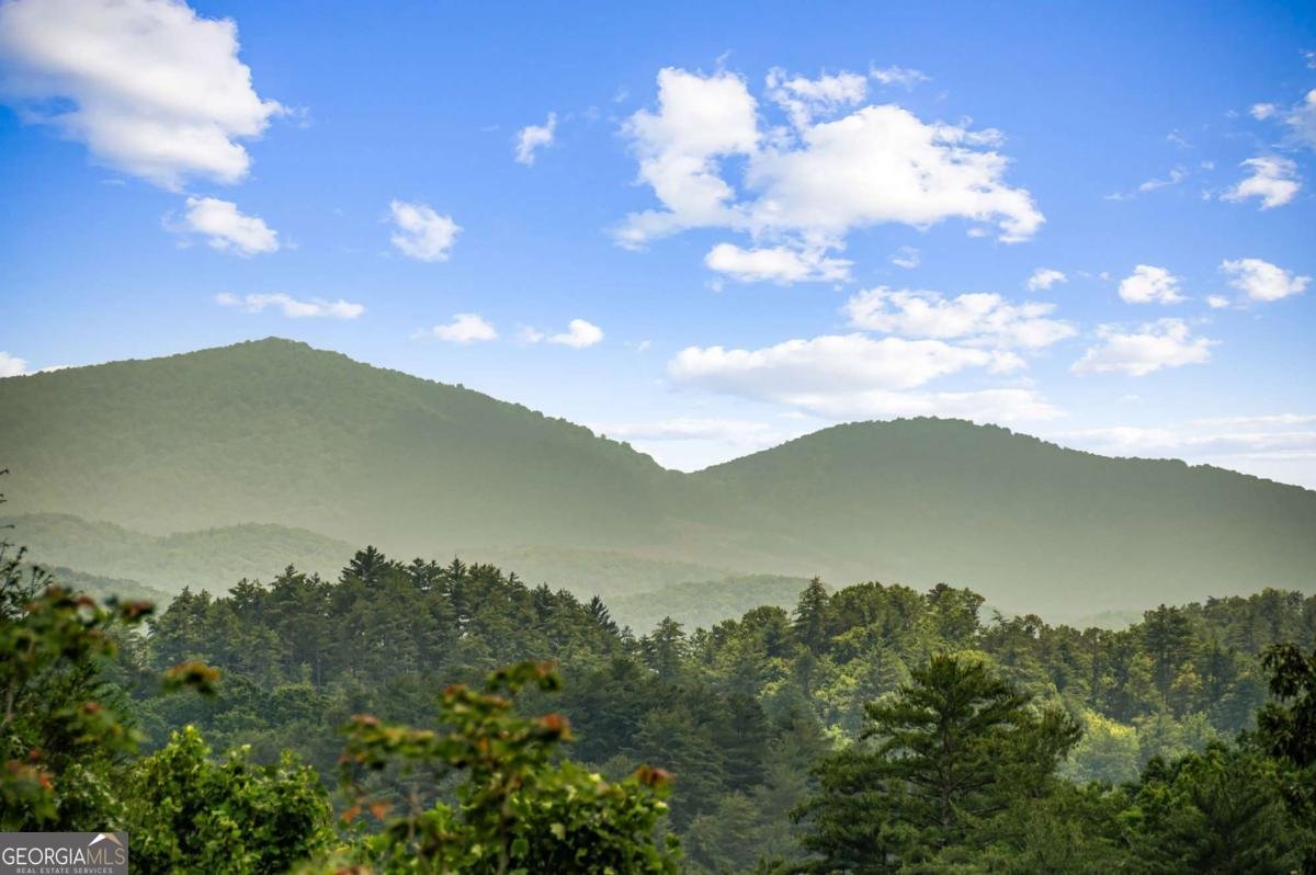 88 Anderson Drive Blue Ridge - 35