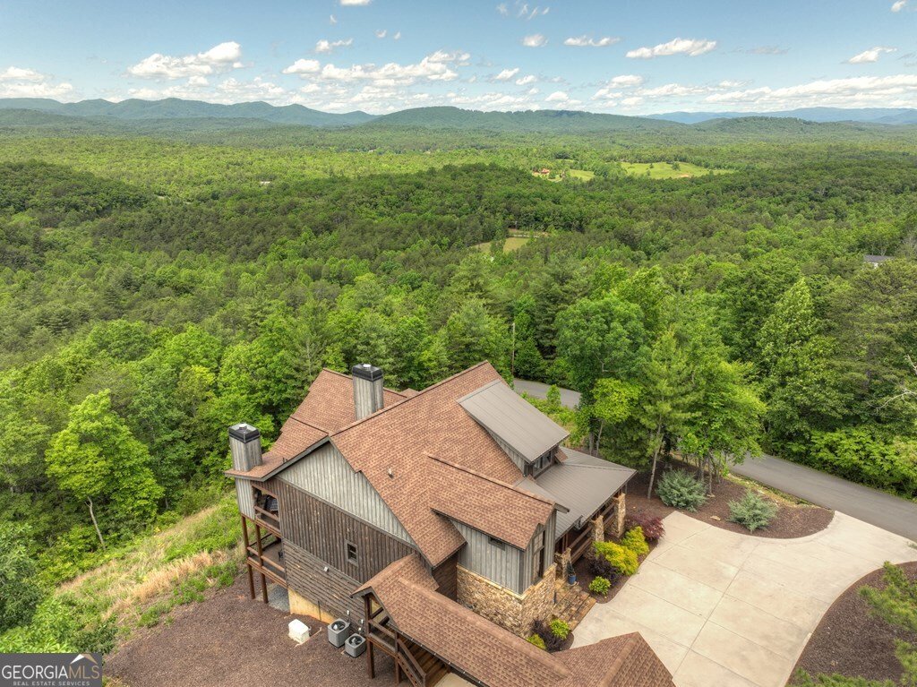 330 Serenity Ridge Lane Lane Mineral Bluff - 82