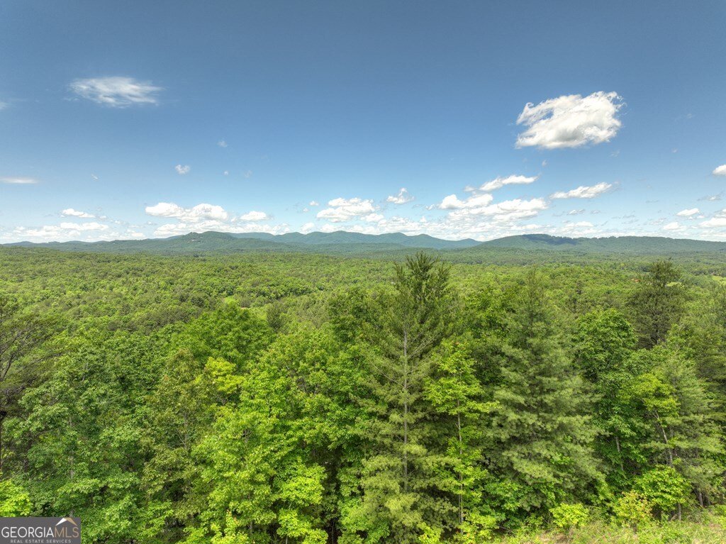 330 Serenity Ridge Lane Lane Mineral Bluff - 83