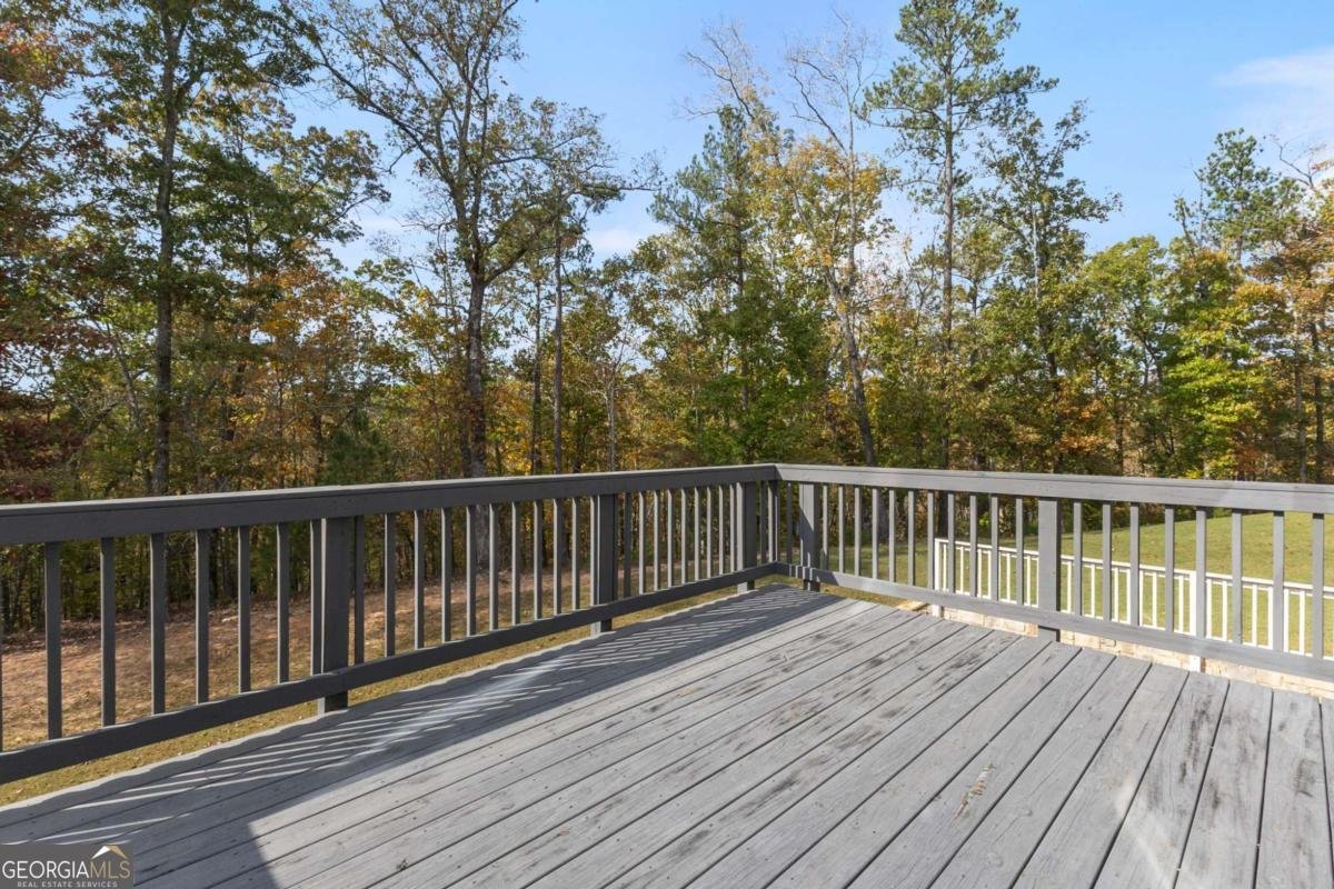 3198 Garden Hill Lane Douglasville - 20