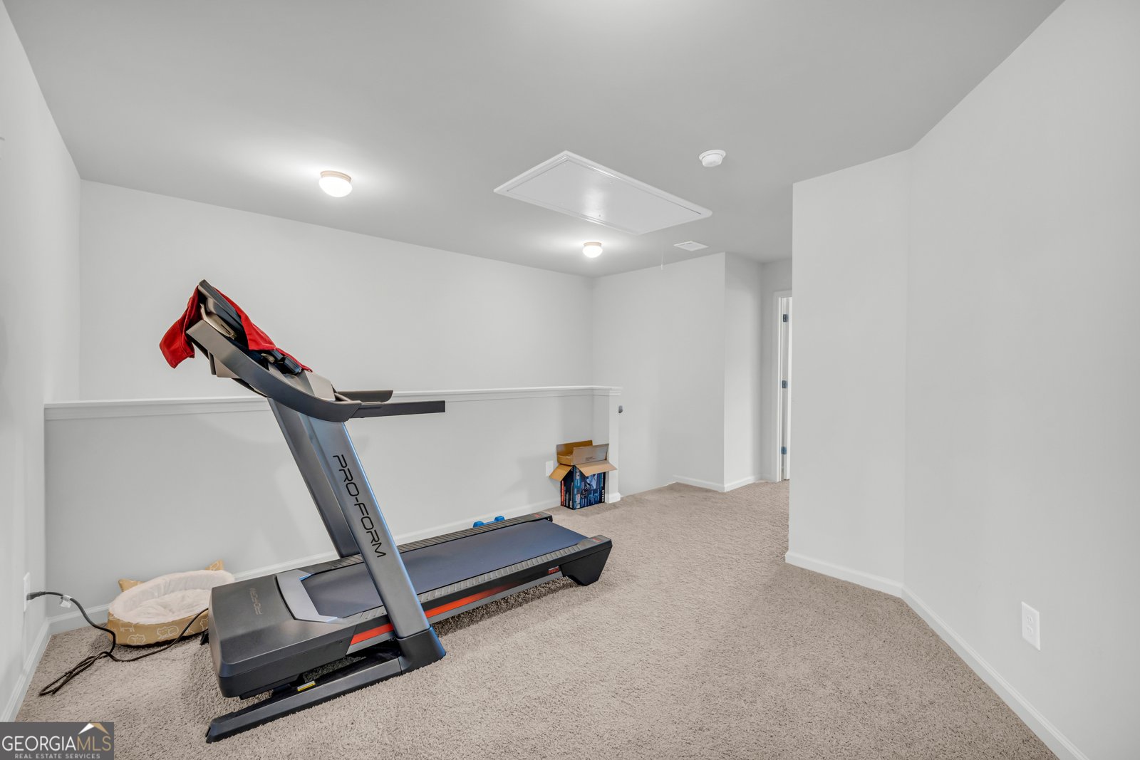 5615 Parkview Lane Flowery Branch - 25