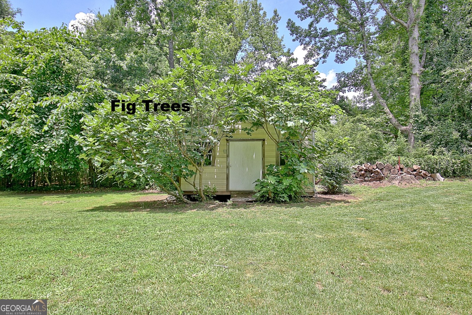 260 Sharon Drive Fayetteville - 50