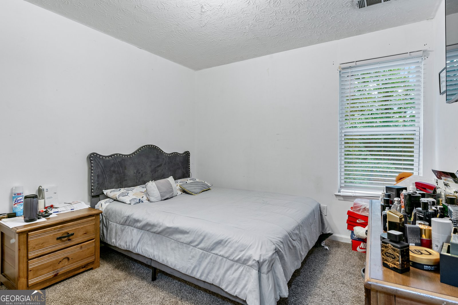248 Springbottom Drive Lawrenceville - 20