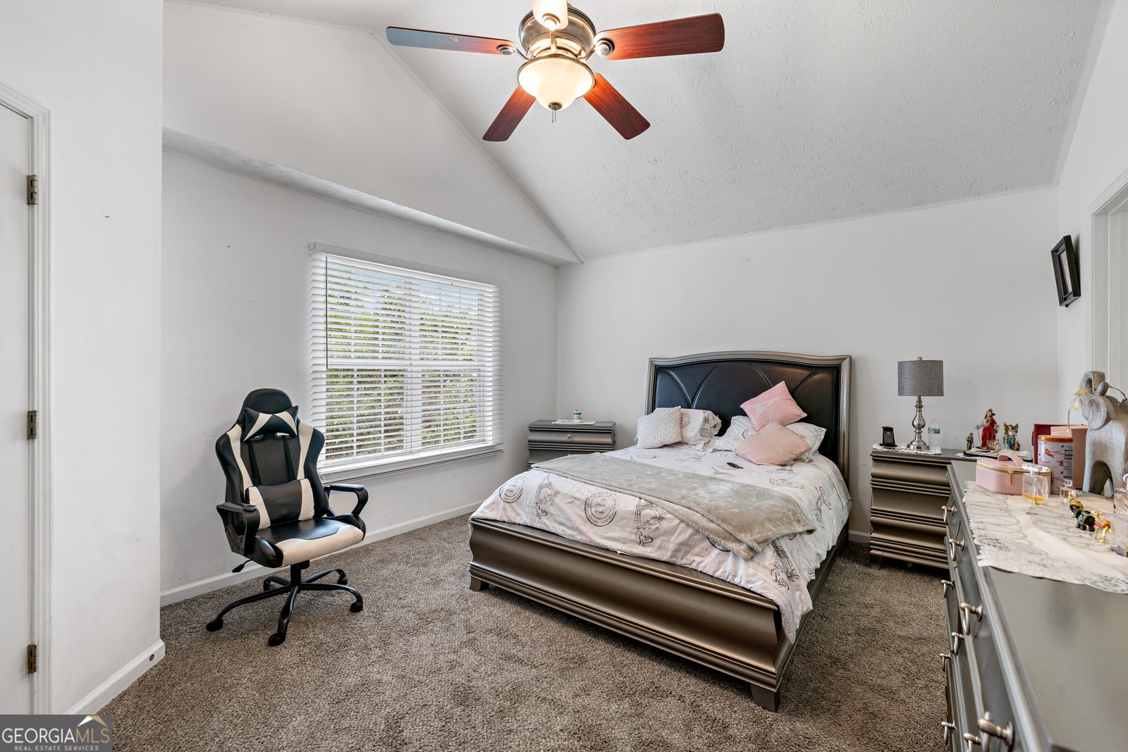 248 Springbottom Drive Lawrenceville - 22