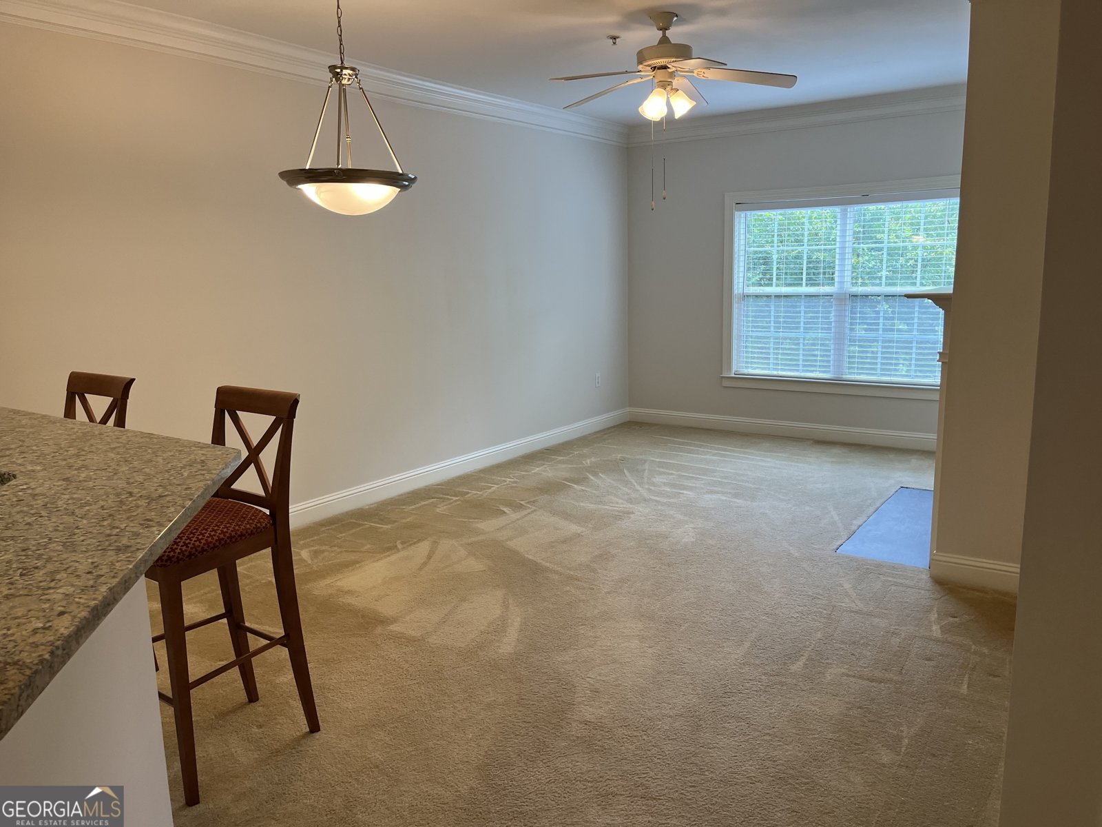 3105 Village Boulevard Rome - 4