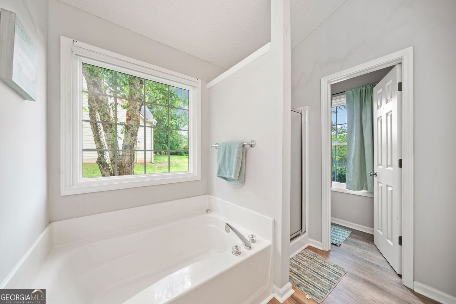 8230 River Mill Court Ball Ground - 23