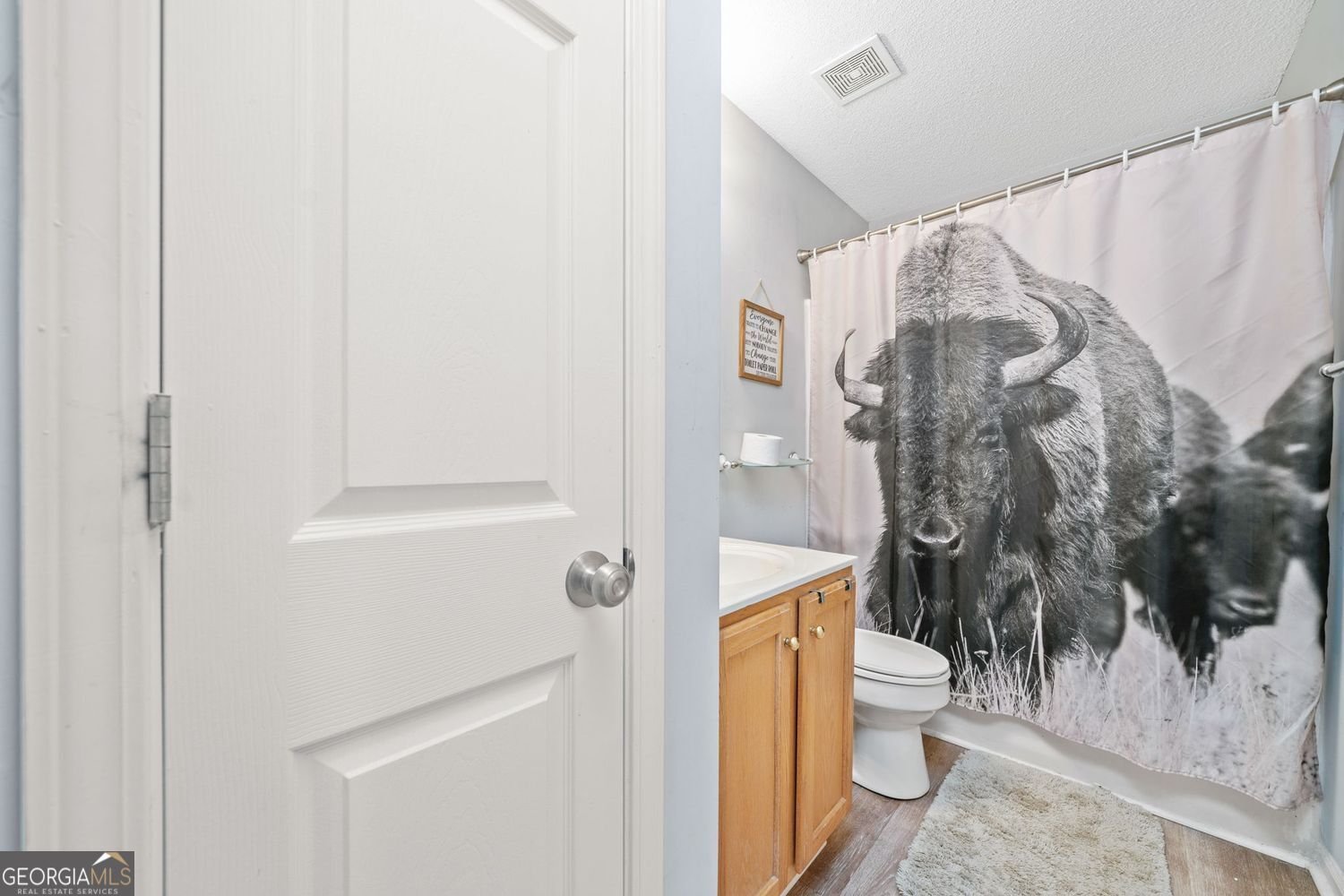 8230 River Mill Court Ball Ground - 27