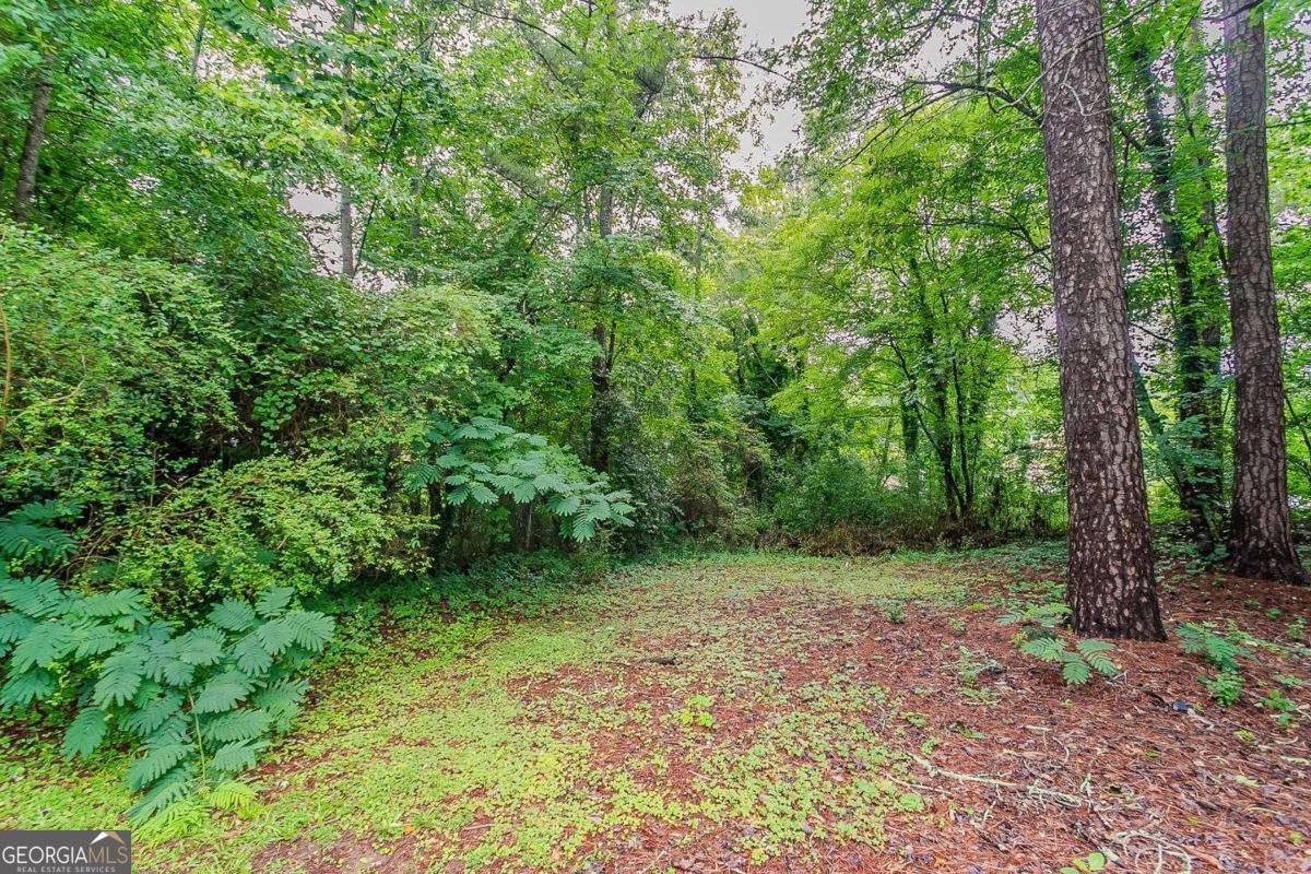 5073 Leland Drive Stone Mountain - 43