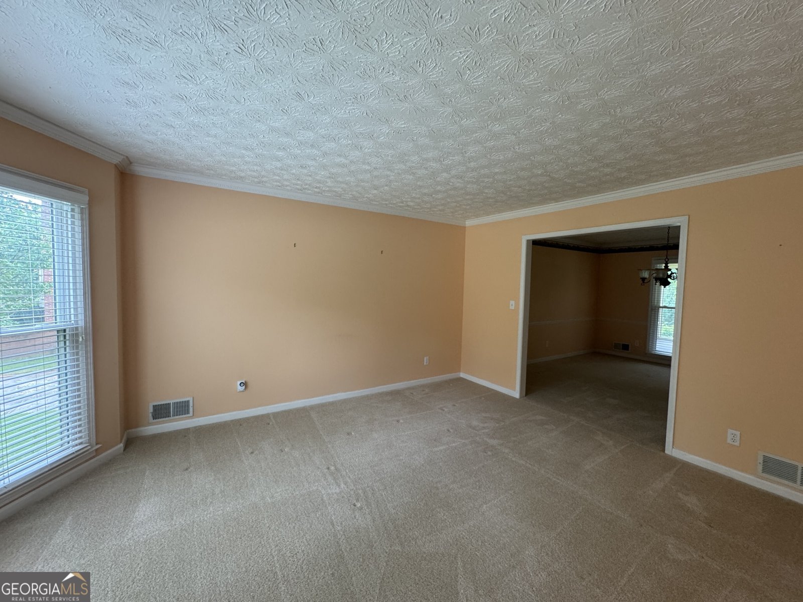 25 Darcee Court Lawrenceville - 3