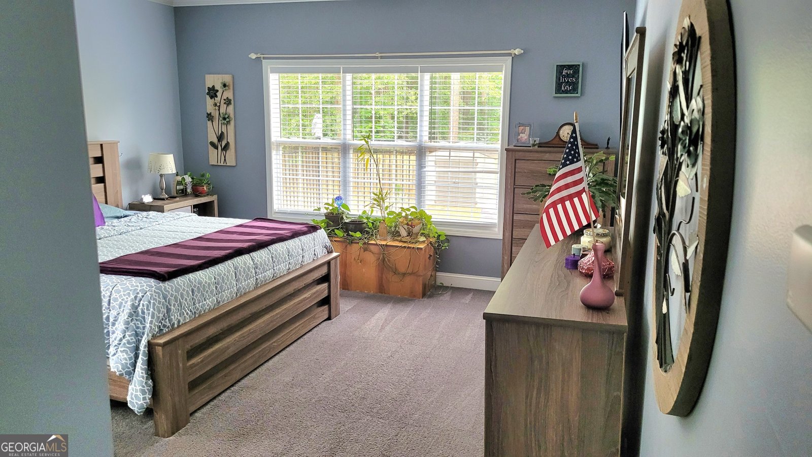 223 Overland Trail McDonough - 11