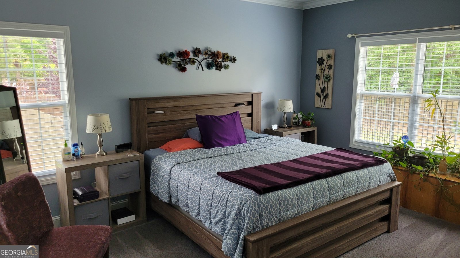 223 Overland Trail McDonough - 12