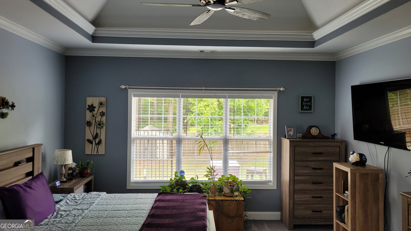 223 Overland Trail McDonough - 13