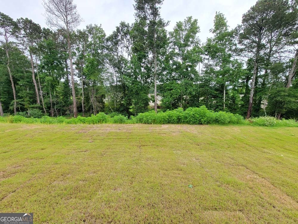 606 Silverleaf Trail Bethlehem - 39