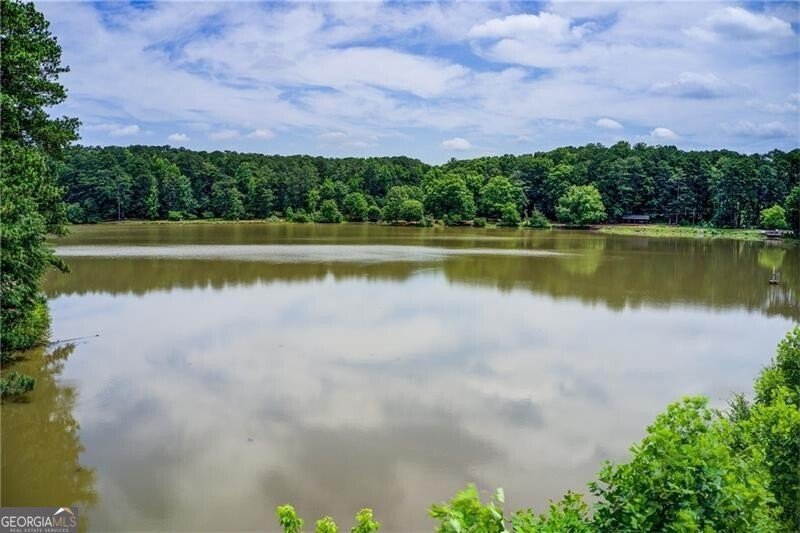4140 Candler Lake West Atlanta - 49