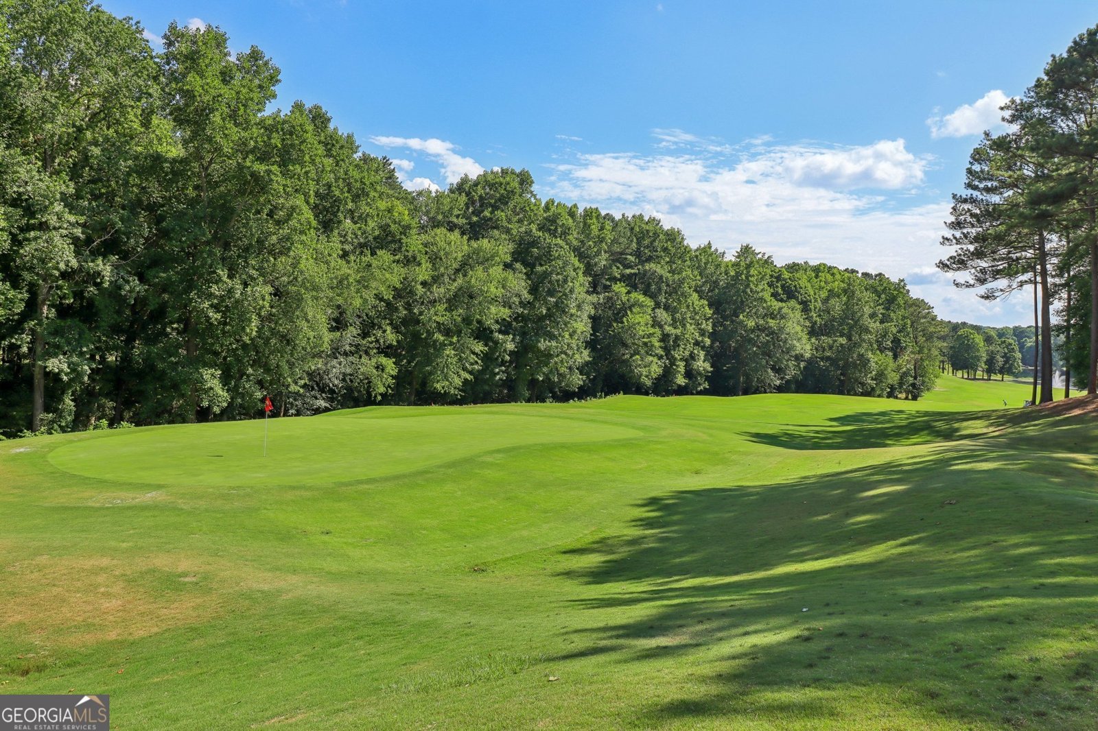 219 Deer Park Trail Canton - 70