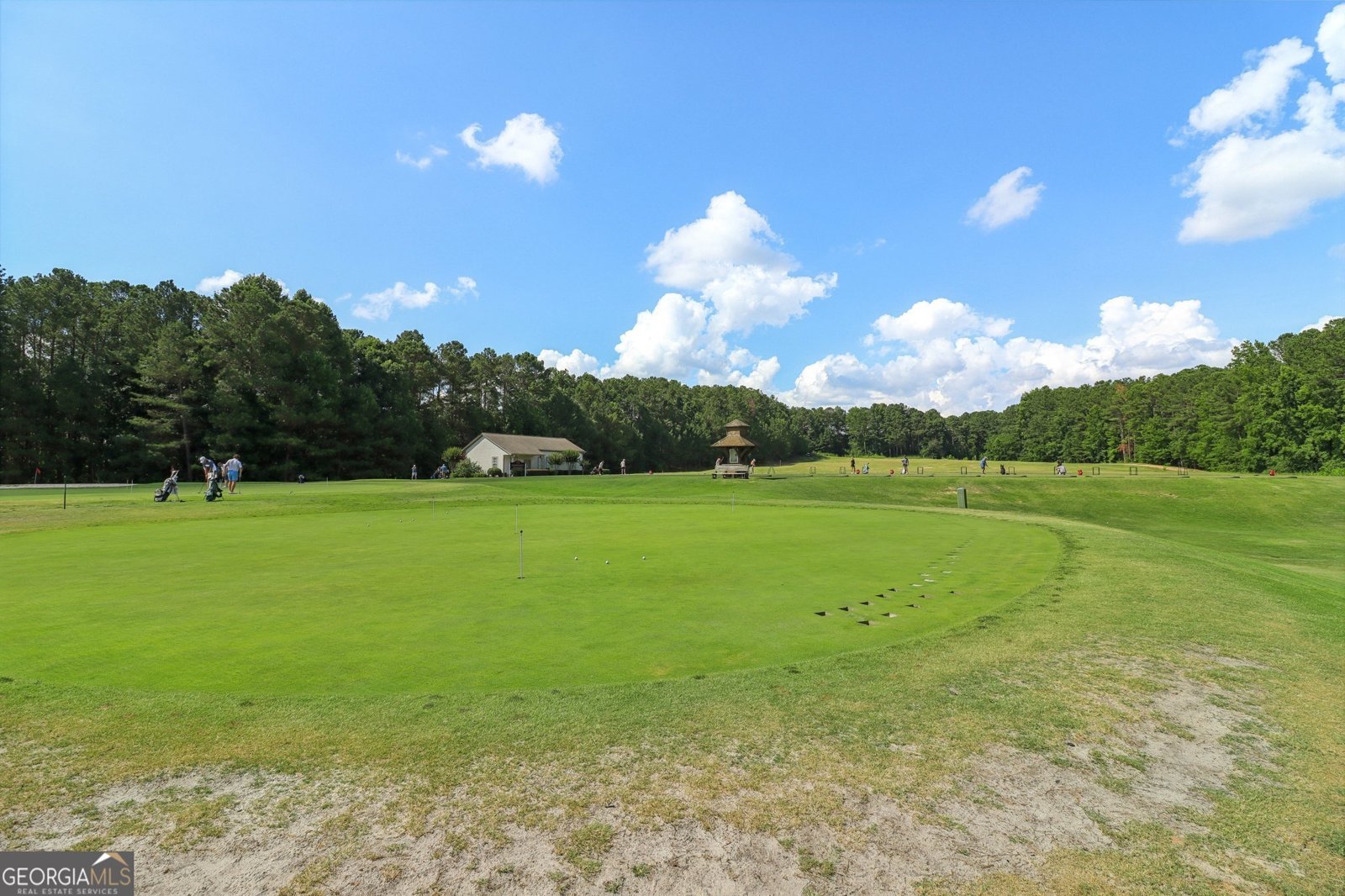 219 Deer Park Trail Canton - 71