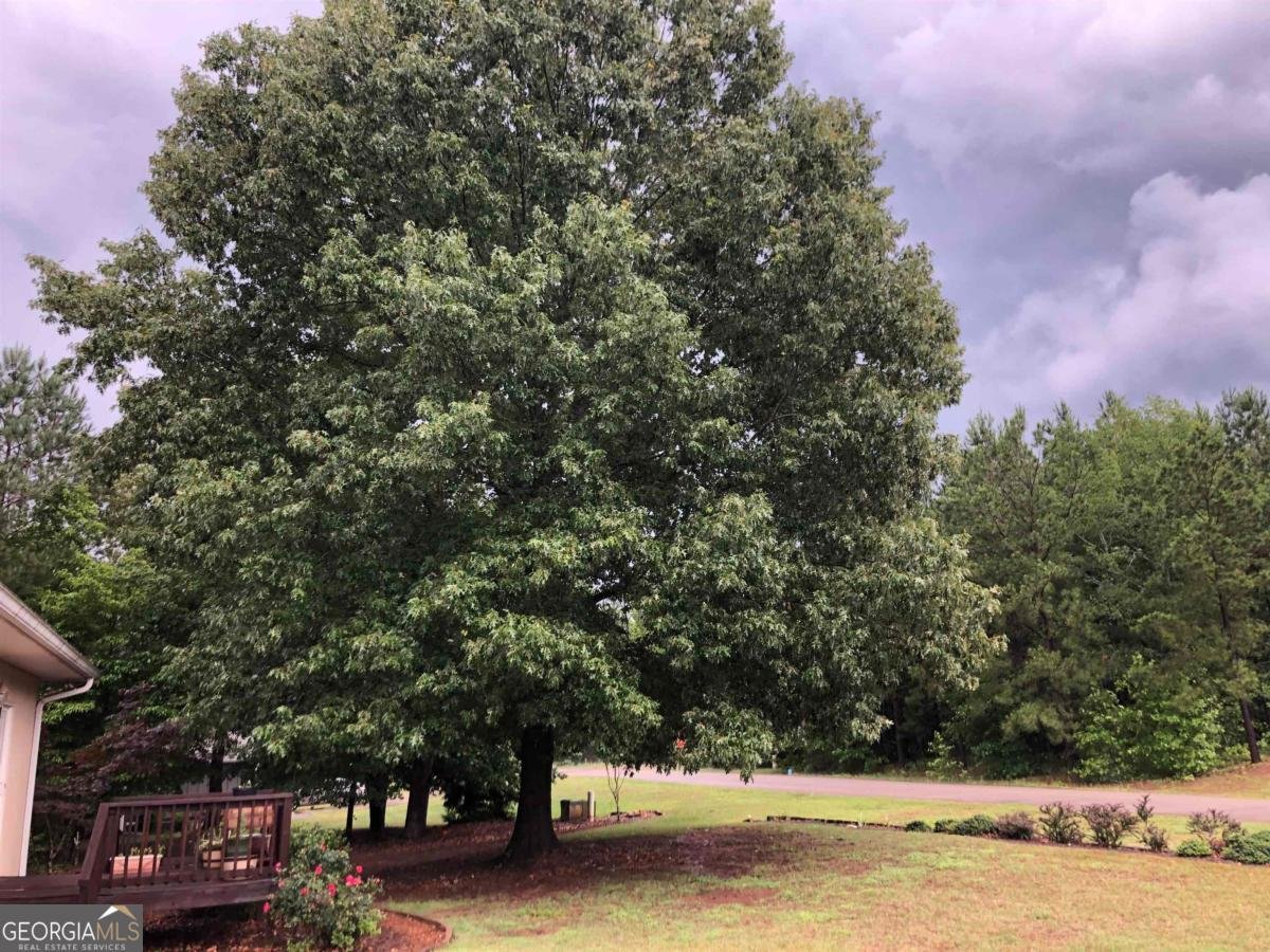 104 Wesley Lane Eatonton - 34