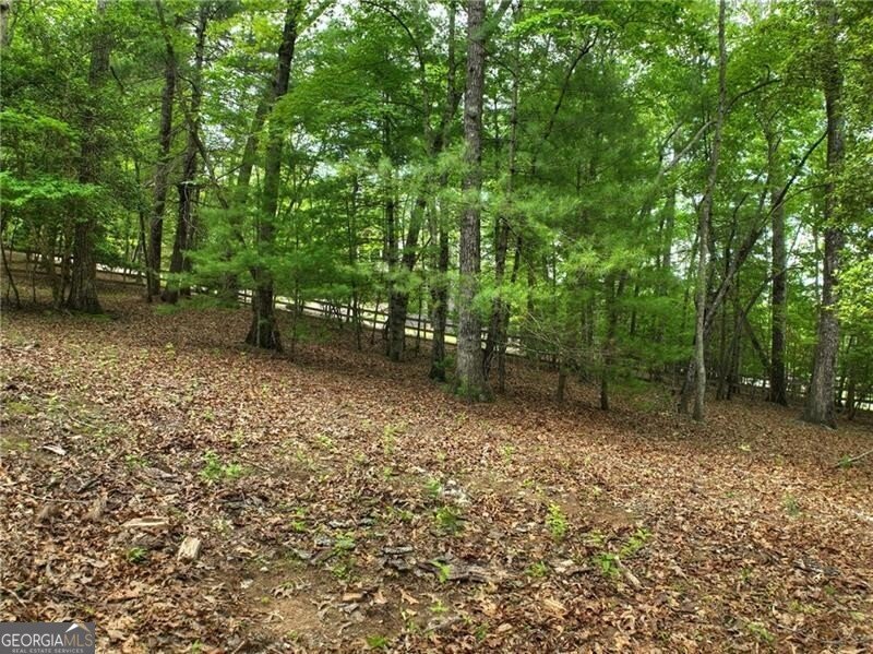 100 Black Oaks Road Cherry Log - 47