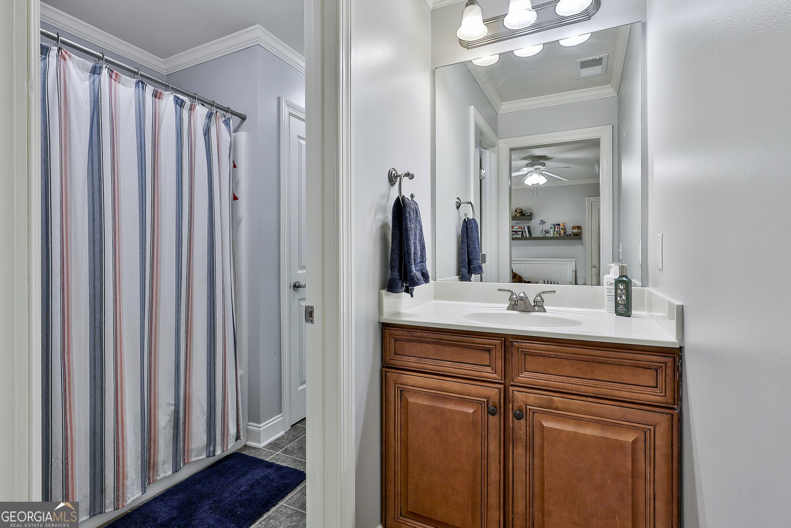245 Maple Shade Drive Tyrone - 52