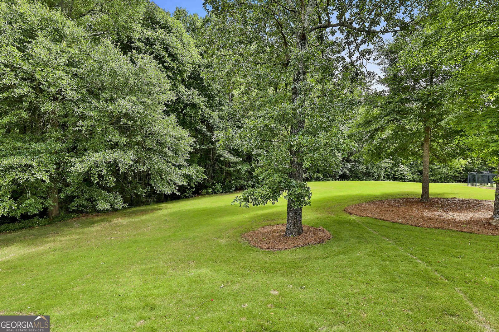 245 Maple Shade Drive Tyrone - 63