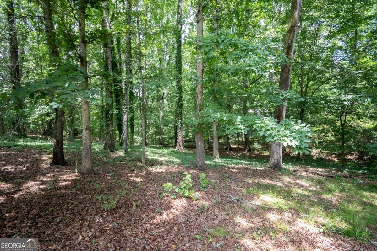 120 Tilson Road Athens - 63