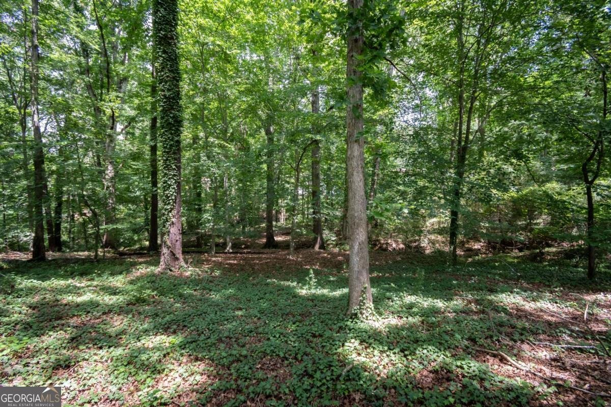 120 Tilson Road Athens - 64